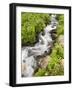 Stream Through Wildflowers, Mineral Basin, Uncompahgre National Forest, Colorado, USA-James Hager-Framed Photographic Print