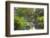 Stream under the Wooden Bridge-jpldesigns-Framed Photographic Print