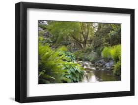 Stream under the Wooden Bridge-jpldesigns-Framed Photographic Print