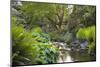 Stream under the Wooden Bridge-jpldesigns-Mounted Photographic Print