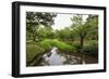 Stream with Lush Greenery and Reflections, Kenrokuen-Eleanor Scriven-Framed Photographic Print