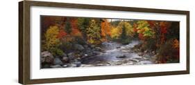 Stream with Trees in a Forest in Autumn, Nova Scotia, Canada-null-Framed Photographic Print