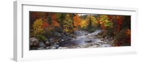 Stream with Trees in a Forest in Autumn, Nova Scotia, Canada-null-Framed Photographic Print