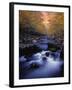 Stream-null-Framed Photographic Print