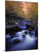 Stream-null-Mounted Photographic Print