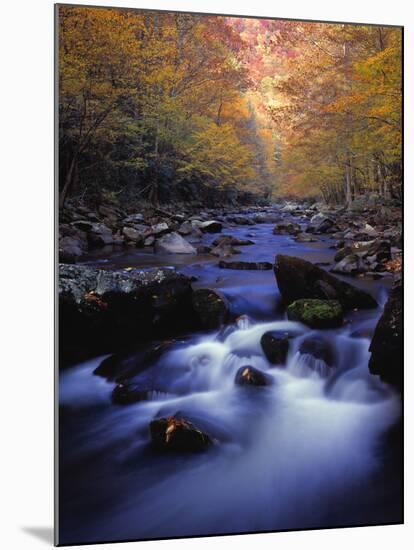 Stream-null-Mounted Photographic Print