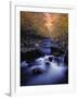 Stream-null-Framed Photographic Print