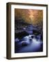 Stream-null-Framed Photographic Print