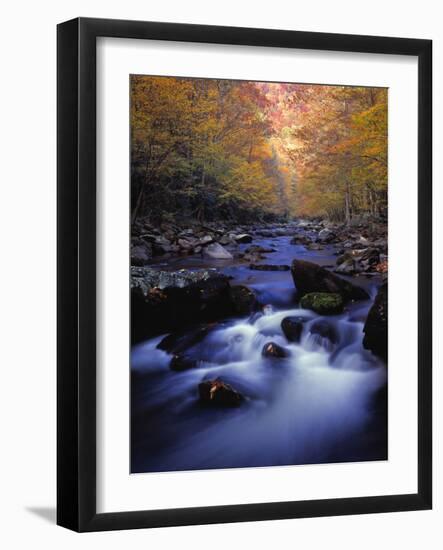 Stream-null-Framed Photographic Print