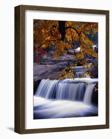 Stream-null-Framed Photographic Print