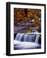 Stream-null-Framed Photographic Print