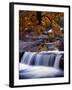 Stream-null-Framed Photographic Print