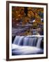 Stream-null-Framed Photographic Print