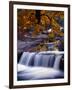 Stream-null-Framed Photographic Print