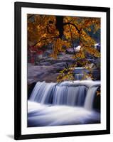 Stream-null-Framed Photographic Print