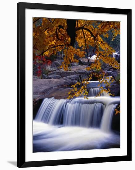 Stream-null-Framed Photographic Print