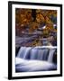 Stream-null-Framed Photographic Print