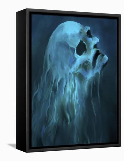 Streaming Skull Face-Patricia Dymer-Framed Stretched Canvas