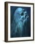 Streaming Skull Face-Patricia Dymer-Framed Giclee Print