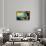 Streamline Train-Brian James-Stretched Canvas displayed on a wall