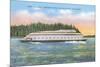 Streamlined Ferry, Seattle, Washington-null-Mounted Art Print