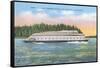 Streamlined Ferry, Seattle, Washington-null-Framed Stretched Canvas
