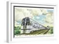 White Frame