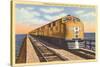 Streamlined Train Crossing Great Salt Lake, Utah-null-Stretched Canvas