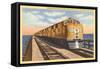 Streamlined Train Crossing Great Salt Lake, Utah-null-Framed Stretched Canvas