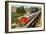 Streamlined Train on Trestle-null-Framed Art Print