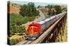 Streamlined Train on Trestle-null-Stretched Canvas