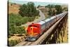 Streamlined Train on Trestle-null-Stretched Canvas