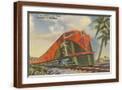 Brown Frame
