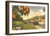 Streamliner Trail, Orange Orchard, Florida-null-Framed Art Print