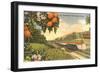 Streamliner Trail, Orange Orchard, Florida-null-Framed Art Print