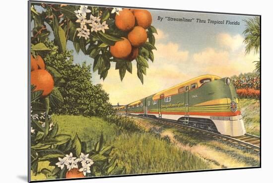 Streamliner Trail, Orange Orchard, Florida-null-Mounted Art Print