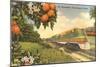 Streamliner Trail, Orange Orchard, Florida-null-Mounted Art Print