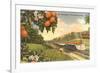 Streamliner Trail, Orange Orchard, Florida-null-Framed Premium Giclee Print