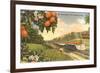 Streamliner Trail, Orange Orchard, Florida-null-Framed Premium Giclee Print