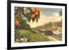 Streamliner Trail, Orange Orchard, Florida-null-Framed Premium Giclee Print