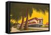 Streamlining through Florida, Train-null-Framed Stretched Canvas