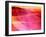 Streams of Light Abstract Cool Waves Background-ilolab-Framed Art Print