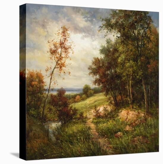 Streamside Trail-null-Stretched Canvas