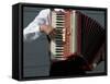 Street Accordionist, Prague, Czech Republic-David Barnes-Framed Stretched Canvas