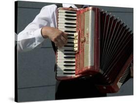 Street Accordionist, Prague, Czech Republic-David Barnes-Stretched Canvas