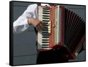 Street Accordionist, Prague, Czech Republic-David Barnes-Framed Stretched Canvas