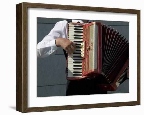 Street Accordionist, Prague, Czech Republic-David Barnes-Framed Premium Photographic Print