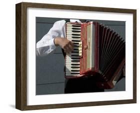 Street Accordionist, Prague, Czech Republic-David Barnes-Framed Premium Photographic Print