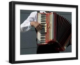 Street Accordionist, Prague, Czech Republic-David Barnes-Framed Premium Photographic Print