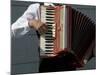 Street Accordionist, Prague, Czech Republic-David Barnes-Mounted Photographic Print